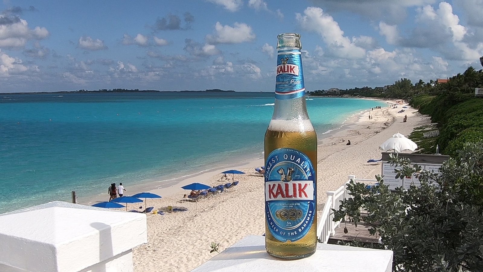 Casamento no Cruzeiro pelo Caribe. Chegada em Bahamas. Paradise Beach. Travel Brazil