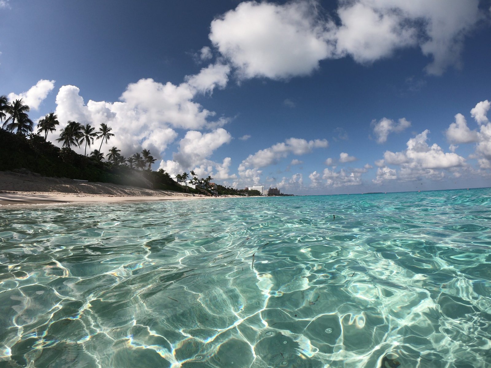 Casamento no Cruzeiro pelo Caribe. Chegada em Bahamas. Paradise Beach. Travel Brazil