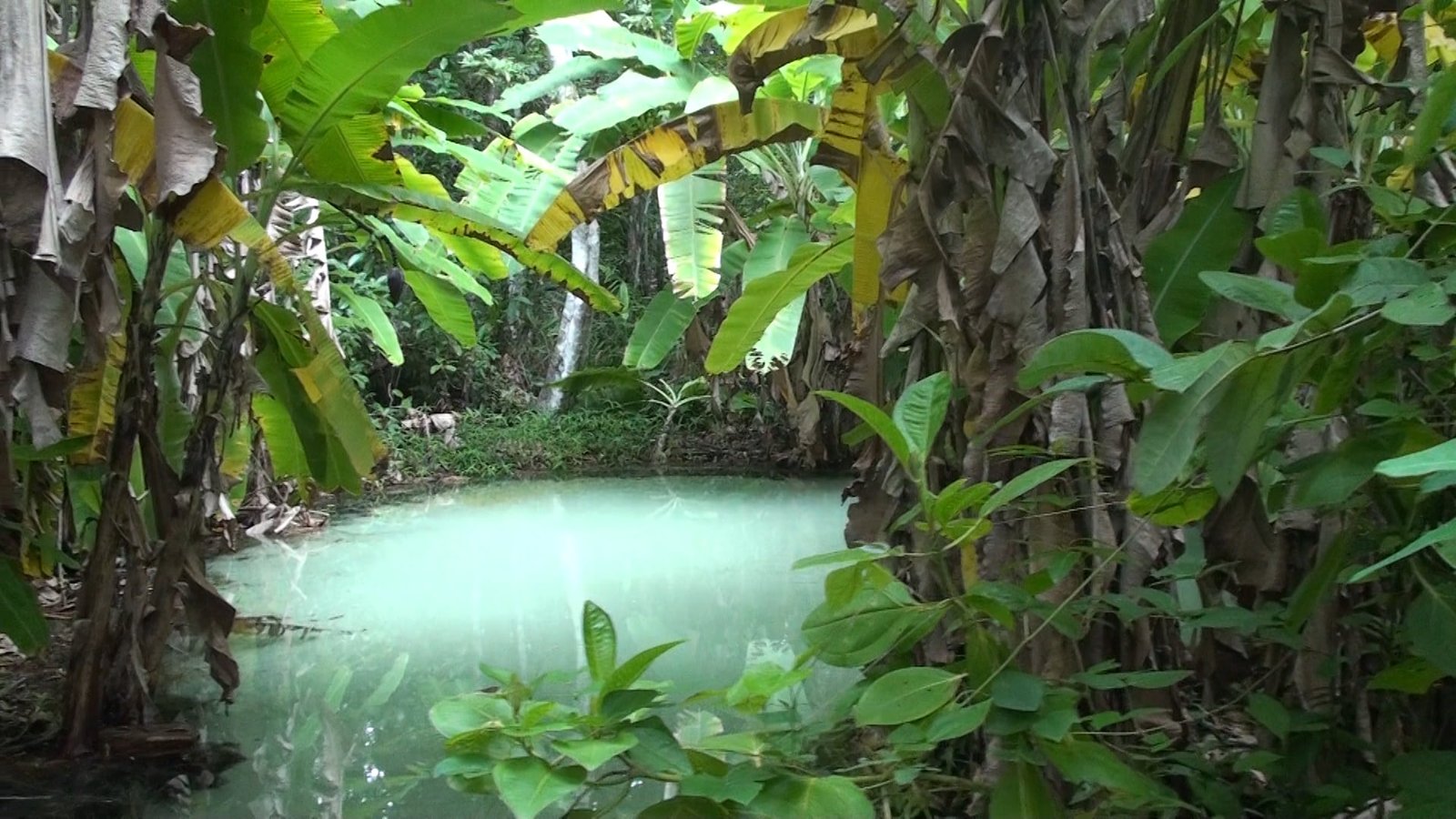 One of the fervedouros in Brazil. Amazing places to visit in brazil. Travel Brazil. 